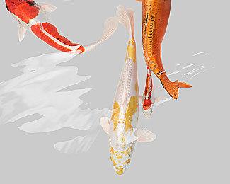 类《毁灭战士》复古射击游戏《恐惧圣殿骑士》今日登陆Steam 